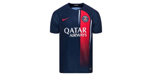 Le Paris Saint-Germain s'assure le titre de champion de France de Ligue 1 avec 6 journées d'avance